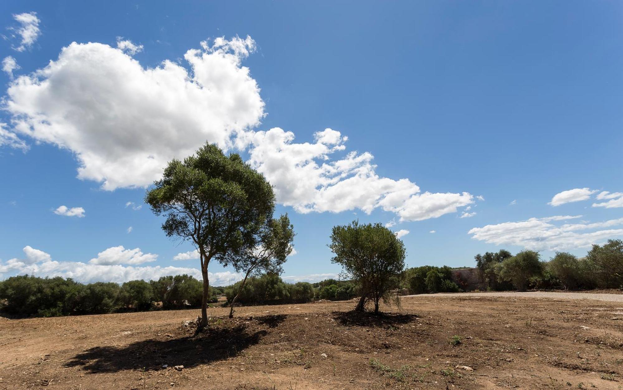 Agroturismo Santa Mariana Alaior Exteriér fotografie